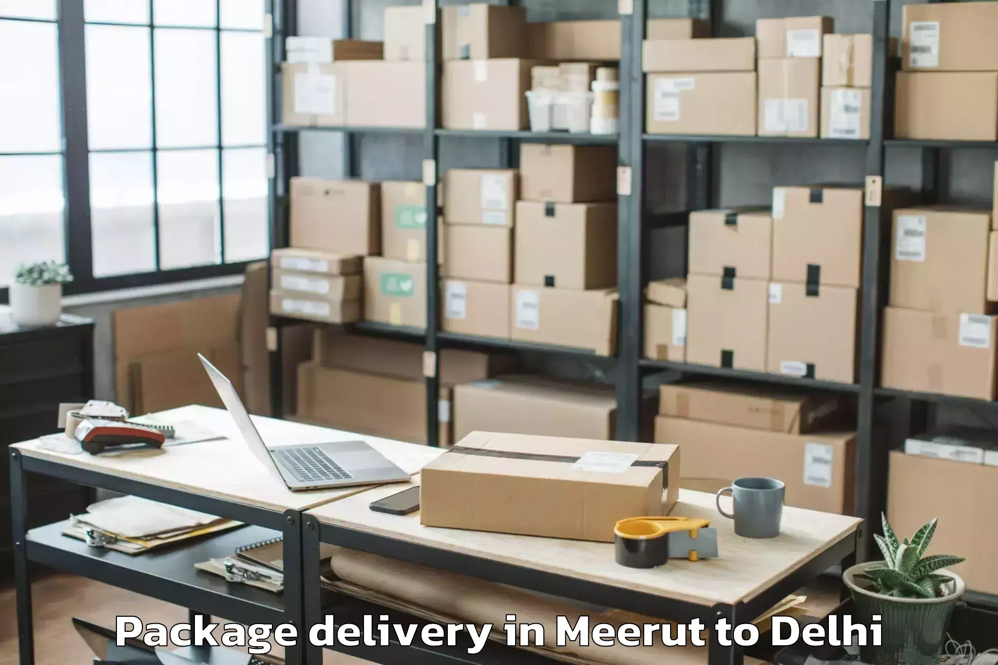 Expert Meerut to Delhi Technological University Package Delivery